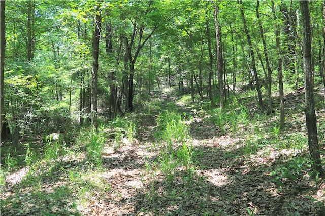 000 Hale Mountain Rd, Canehill, AR 72717 - photo 34