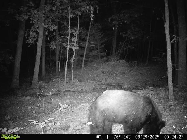 000 Hale Mountain Rd, Canehill, AR 72717 - photo 35