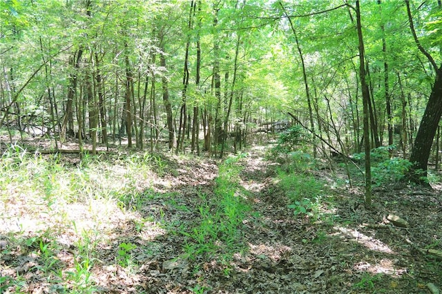 000 Hale Mountain Rd, Canehill, AR 72717 - photo 36