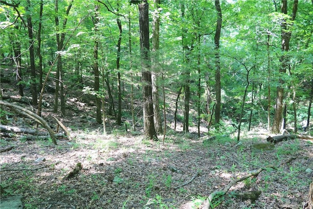 000 Hale Mountain Rd, Canehill, AR 72717 - photo 37