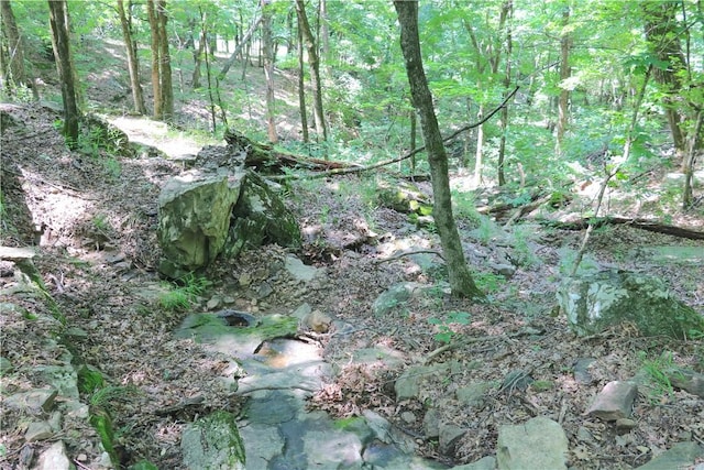 000 Hale Mountain Rd, Canehill, AR 72717 - photo 38