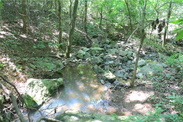 000 Hale Mountain Rd, Canehill, AR 72717 - photo 40