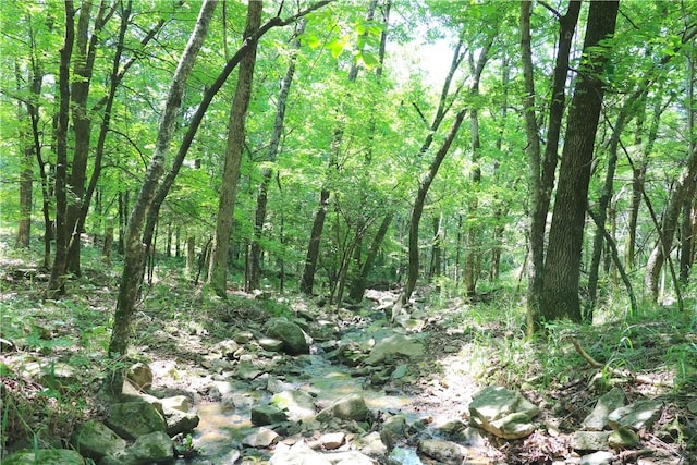 000 Hale Mountain Rd, Canehill, AR 72717 - photo 43