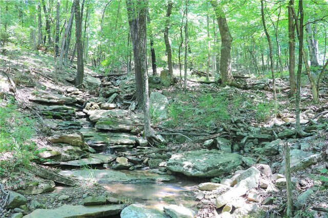 000 Hale Mountain Rd, Canehill, AR 72717 - photo 44