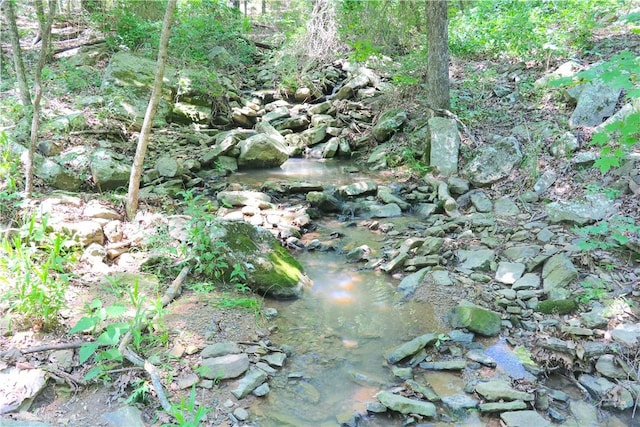 000 Hale Mountain Rd, Canehill, AR 72717 - photo 48