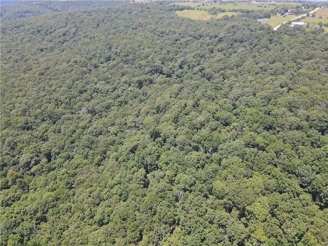 000 Hale Mountain Rd, Canehill, AR 72717 - photo 6