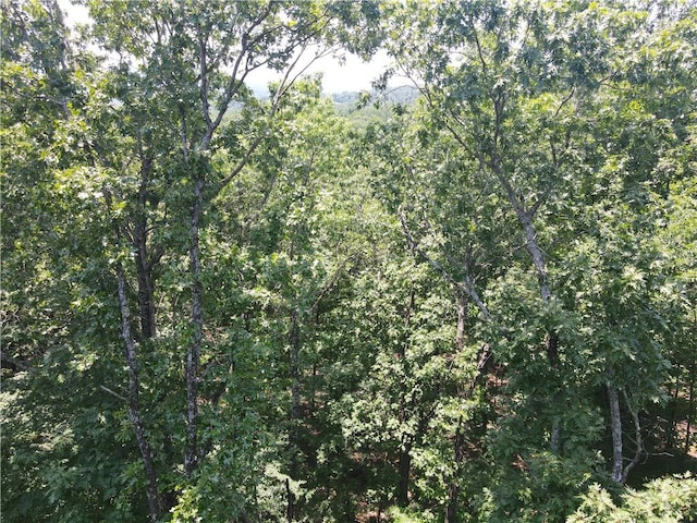 000 Hale Mountain Rd, Canehill, AR 72717 - photo 7