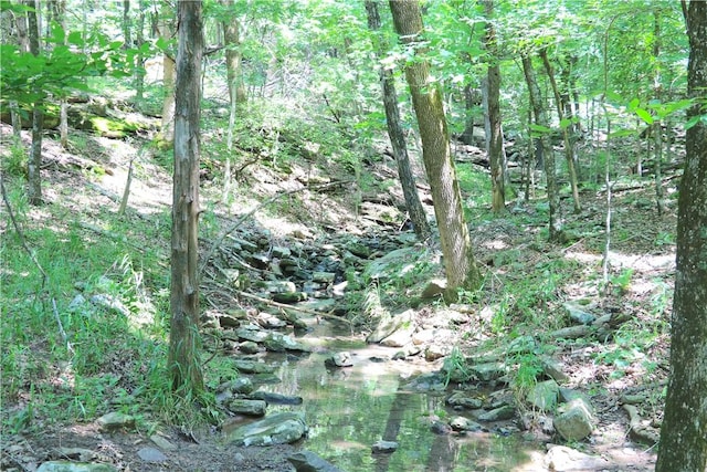000 Hale Mountain Rd, Canehill, AR 72717 - photo 2