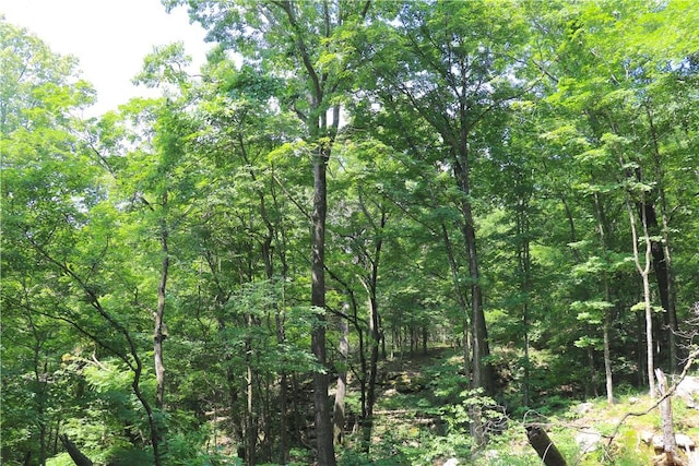 000 Hale Mountain Rd, Canehill, AR 72717 - photo 12