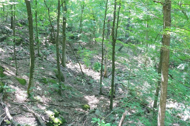 000 Hale Mountain Rd, Canehill, AR 72717 - photo 14