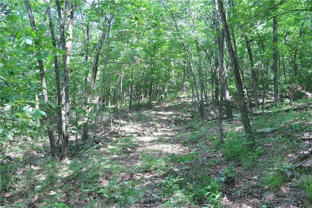 000 Hale Mountain Rd, Canehill, AR 72717 - photo 15