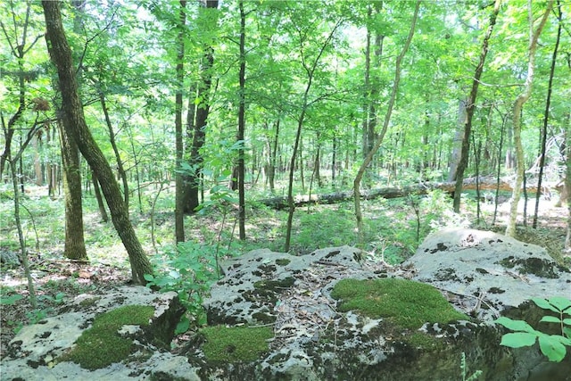 000 Hale Mountain Rd, Canehill, AR 72717 - photo 17