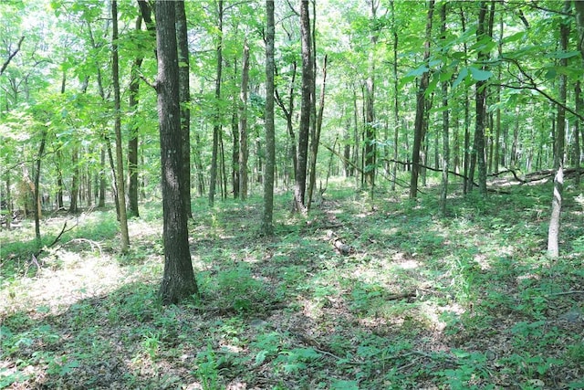 000 Hale Mountain Rd, Canehill, AR 72717 - photo 19