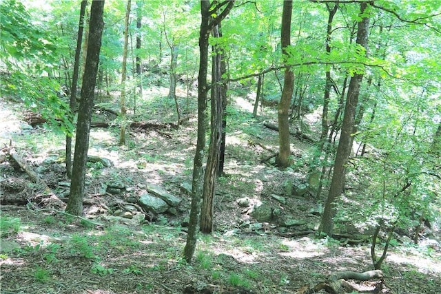 000 Hale Mountain Rd, Canehill, AR 72717 - photo 20