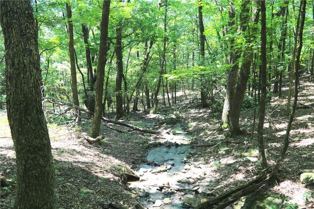 000 Hale Mountain Rd, Canehill, AR 72717 - photo 21