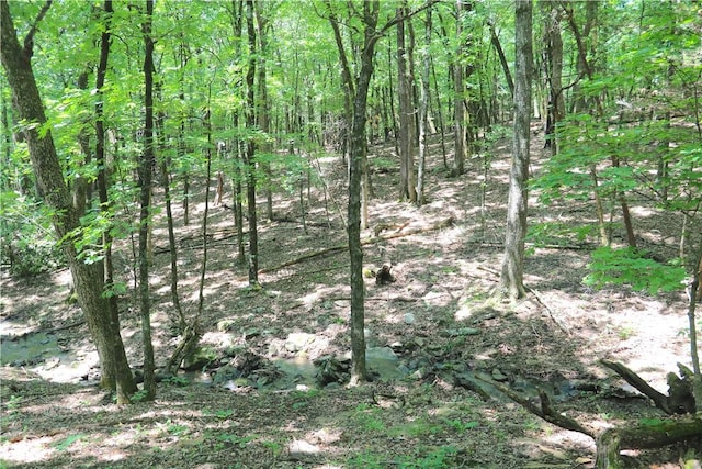 000 Hale Mountain Rd, Canehill, AR 72717 - photo 22