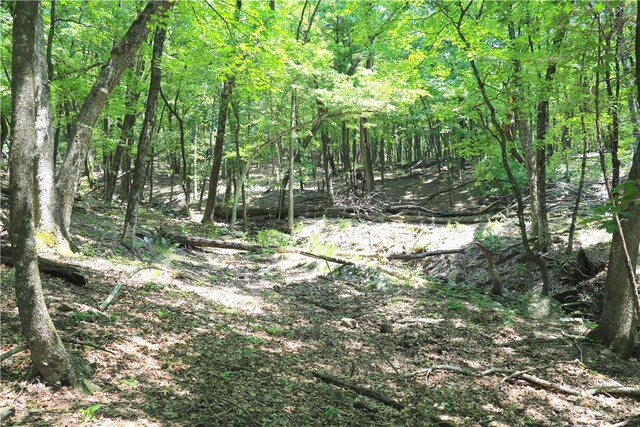 000 Hale Mountain Rd, Canehill, AR 72717 - photo 23