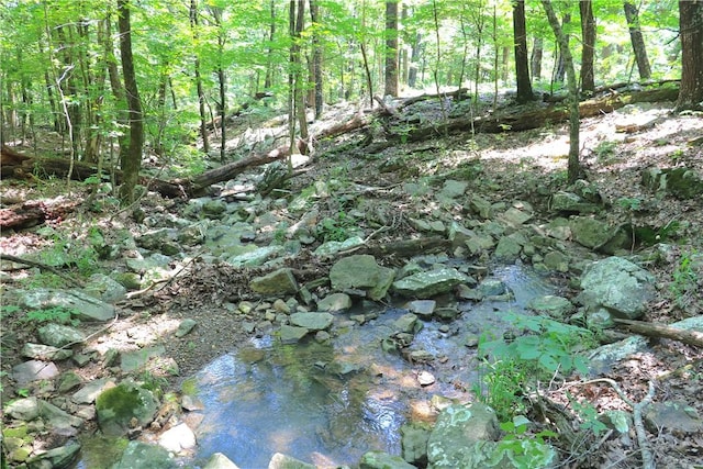 000 Hale Mountain Rd, Canehill, AR 72717 - photo 49
