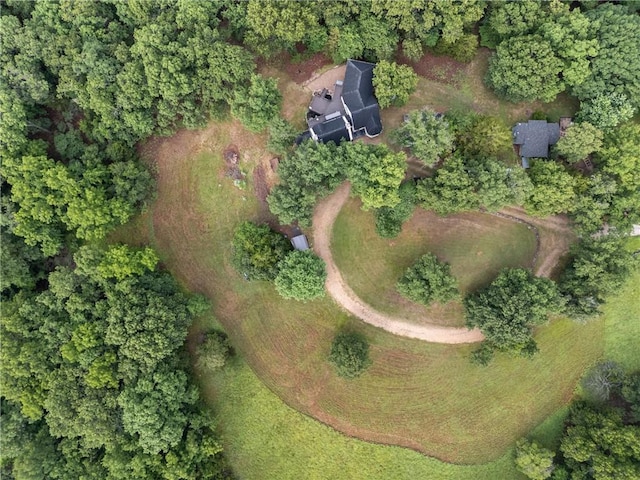 393 Timberlake Ln, Eureka Springs, AR 72631 - aerial view of property's location