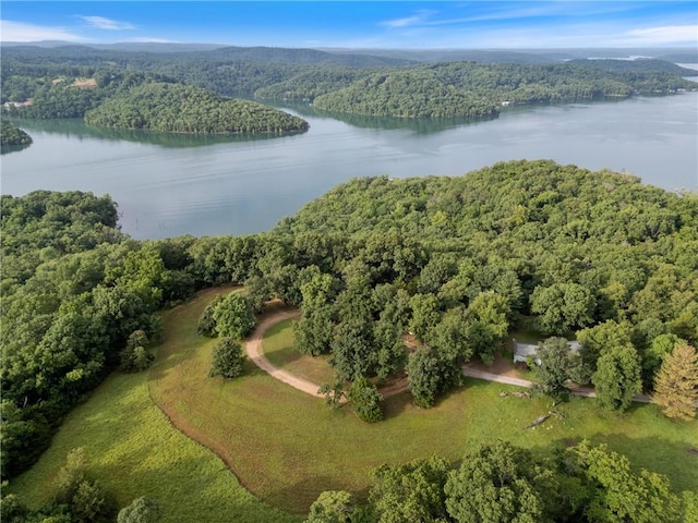 393 Timberlake Ln, Eureka Springs, AR 72631 - aerial overview of property's location with a nearby body of water