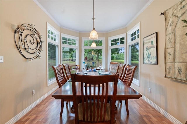 393 Timberlake Ln, Eureka Springs, AR 72631 - dining space with wood finished floors and crown molding