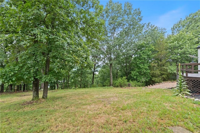 393 Timberlake Ln, Eureka Springs, AR 72631 - view of green lawn