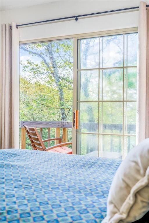 21271 Maple Dr, Garfield, AR 72732 - view of bedroom