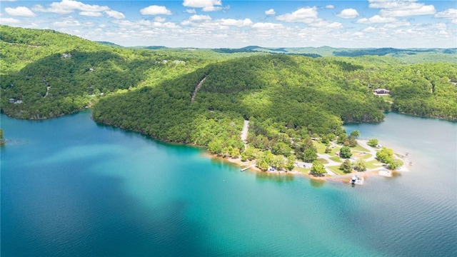 21271 Maple Dr, Garfield, AR 72732 - aerial view of a forest and a large body of water