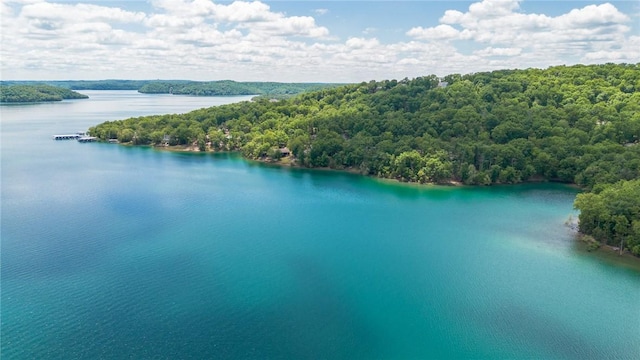 21271 Maple Dr, Garfield, AR 72732 - bird's eye view of a large body of water and a heavily wooded area
