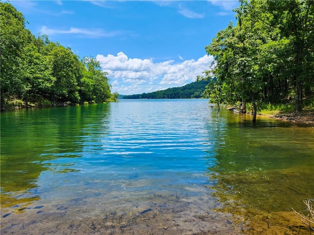 21271 Maple Dr, Garfield, AR 72732 - water view with a forest