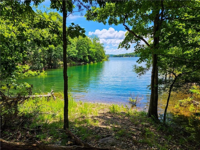 21271 Maple Dr, Garfield, AR 72732 - water view