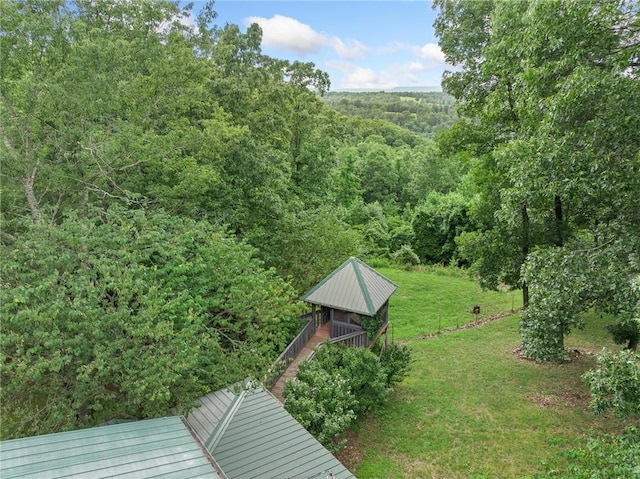 4542 NC-3850, Jasper, AR 72641 - photo 35
