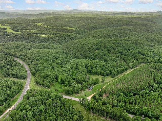 4542 NC-3850, Jasper, AR 72641 - photo 38