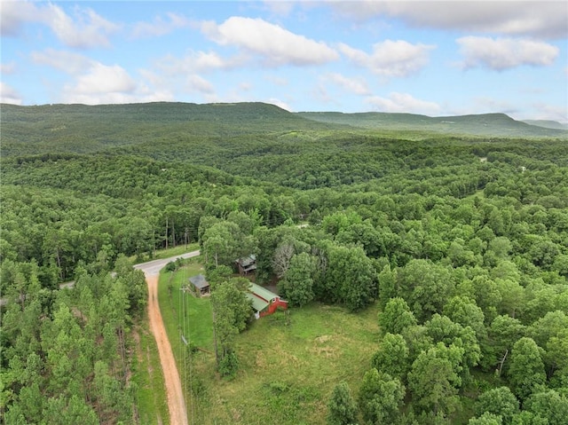 4542 NC-3850, Jasper, AR 72641 - photo 39