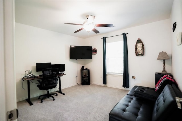 4301 SW Bison St, Bentonville, AR 72713 - photo 19