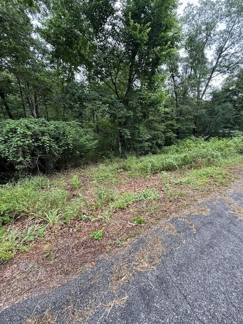 LOT6 Bosworth Cir, Bella Vista, AR 72714 - photo 3