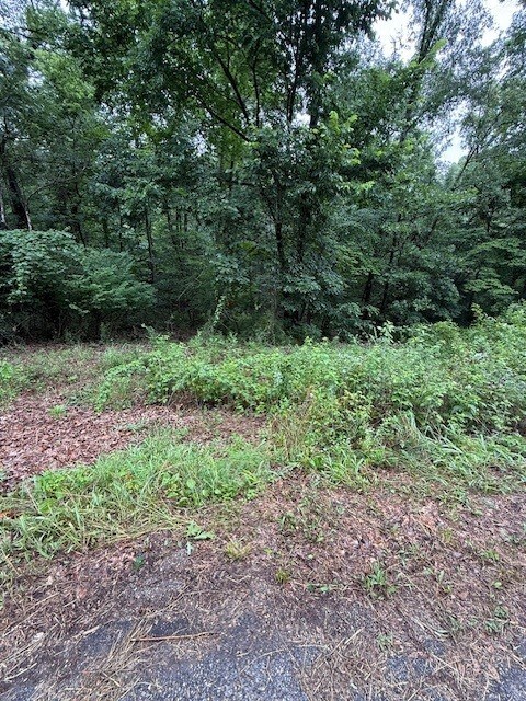 LOT6 Bosworth Cir, Bella Vista, AR 72714 - photo 4