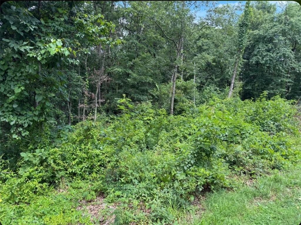 LOT2 Baltes Dr, Bella Vista, AR 72714 - photo 1