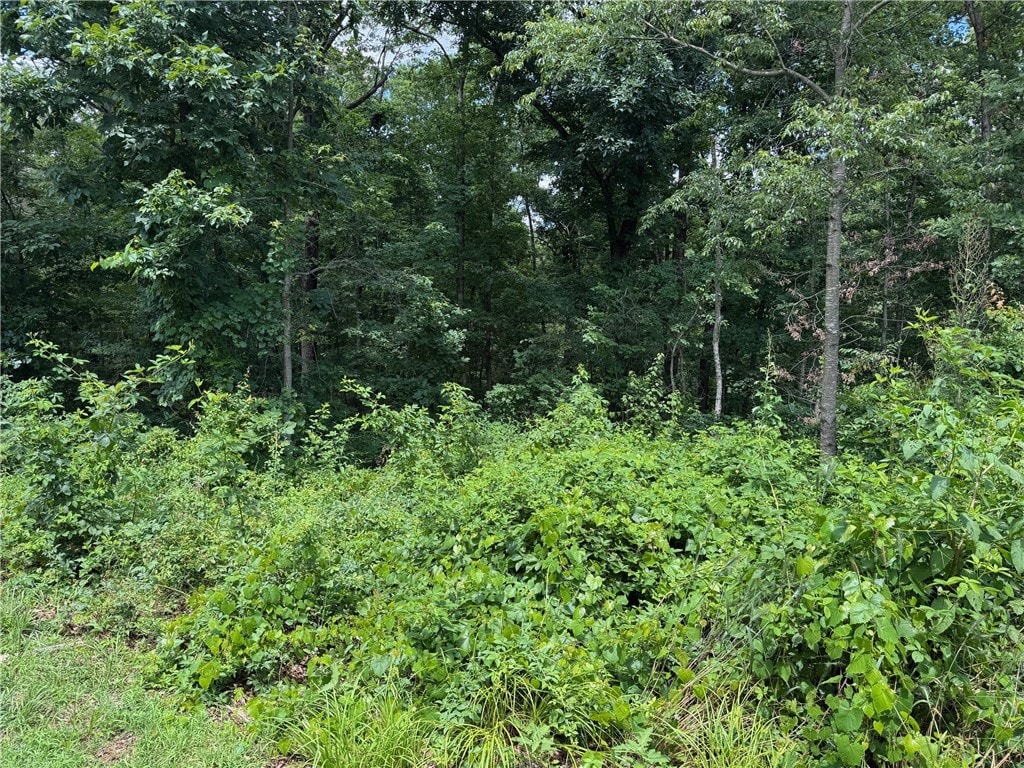 LOT2 Baltes Dr, Bella Vista, AR 72714 - photo 2