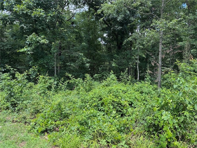 LOT2 Baltes Dr, Bella Vista, AR 72714 - photo 2