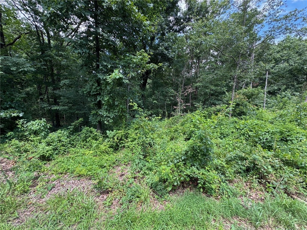 LOT2 Baltes Dr, Bella Vista, AR 72714 - photo 3