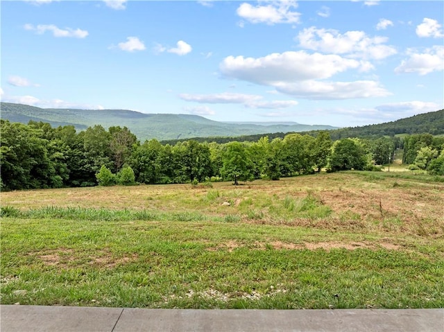 1625 NC-8330, Jasper, AR 72641 - photo 27