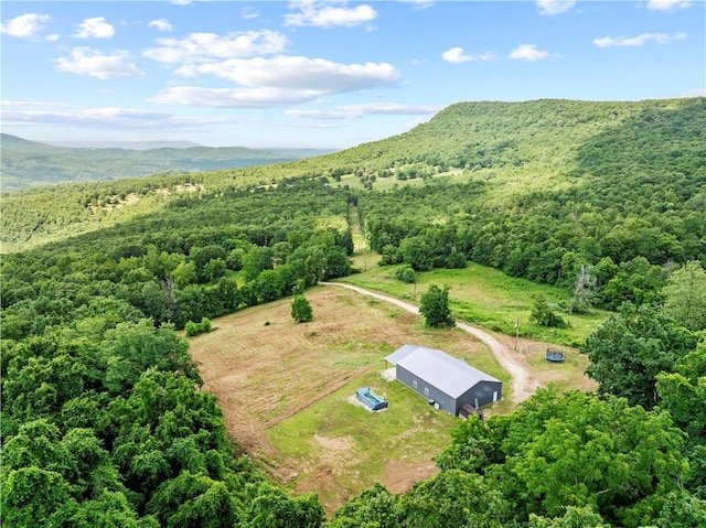 1625 NC-8330, Jasper, AR 72641 - photo 28