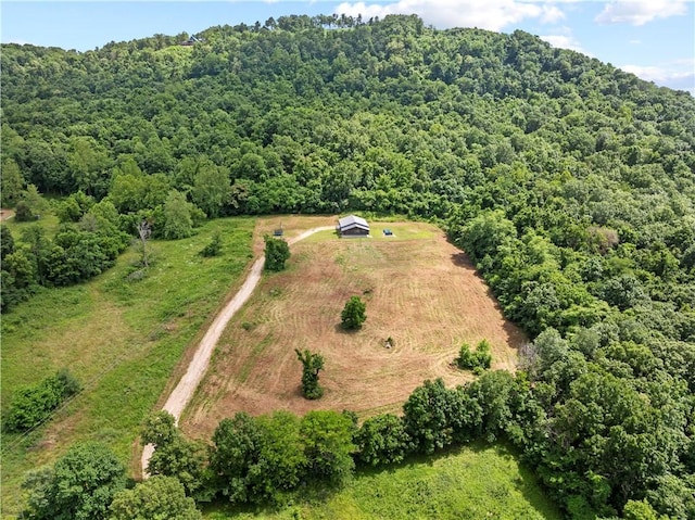 1625 NC-8330, Jasper, AR 72641 - photo 30