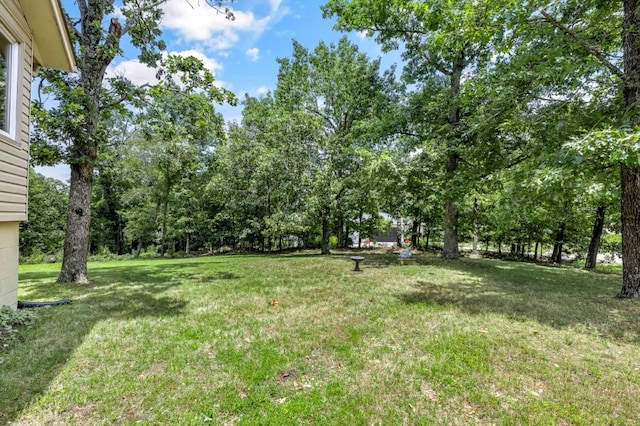 9 Mckenzie Dr, Bella Vista, AR 72715 - photo 28