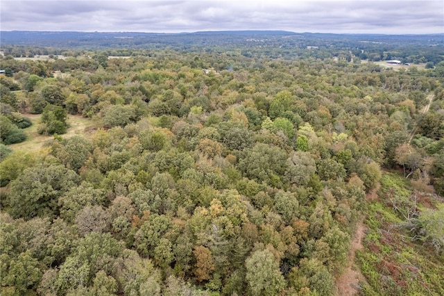 5492 Brown Ln, Ozark, AR 72949