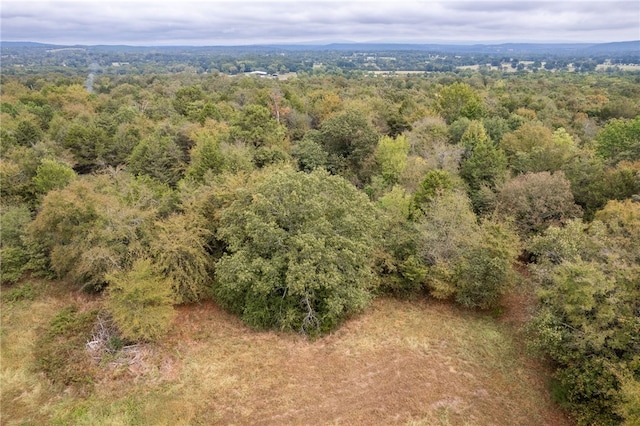 5492 Brown Ln, Ozark, AR 72949