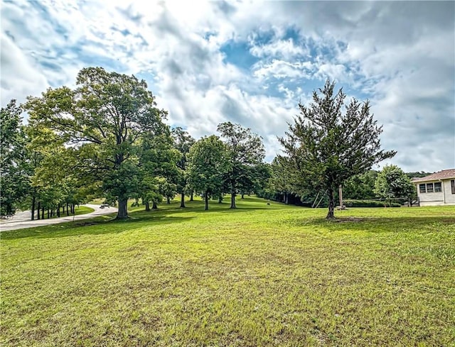 3 Horseshoe Dr, Holiday Island, AR 72631 - photo 40