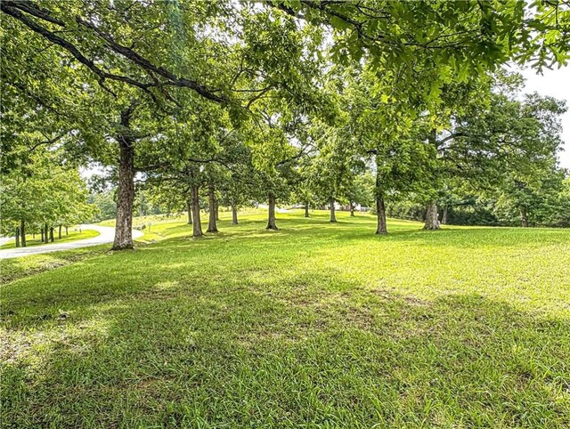 3 Horseshoe Dr, Holiday Island, AR 72631 - photo 41