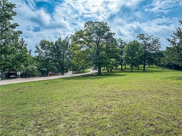 3 Horseshoe Dr, Holiday Island, AR 72631 - photo 44
